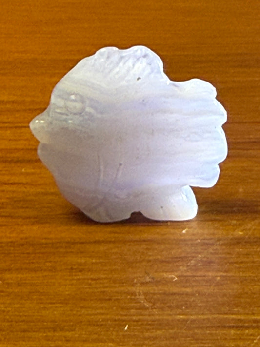 BLUE LACE AGATE FISH