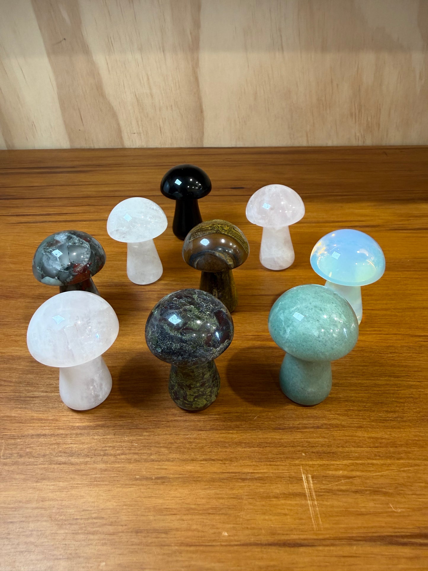 MUSHROOMS (LARGE)