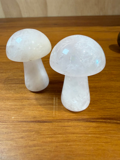 MUSHROOMS (LARGE)