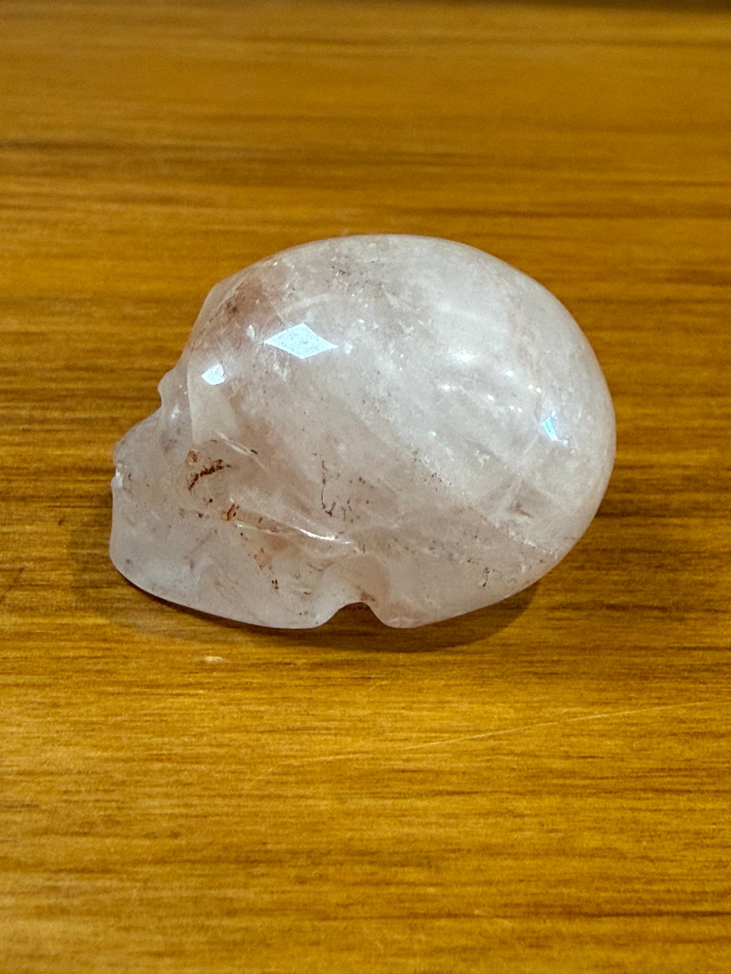 SKULLS (SMALL)