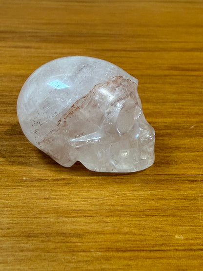 SKULLS (SMALL)