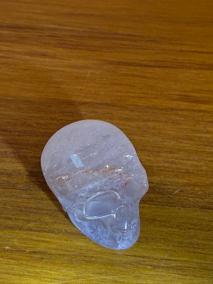 SKULLS (SMALL)