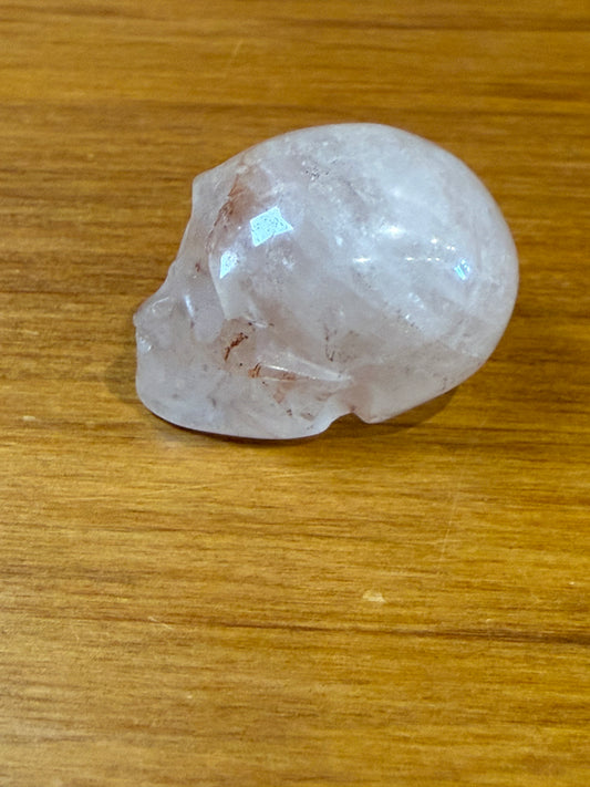SKULLS (SMALL)