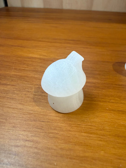 MUSHROOM CRYSTAL FAIRY HOUSES