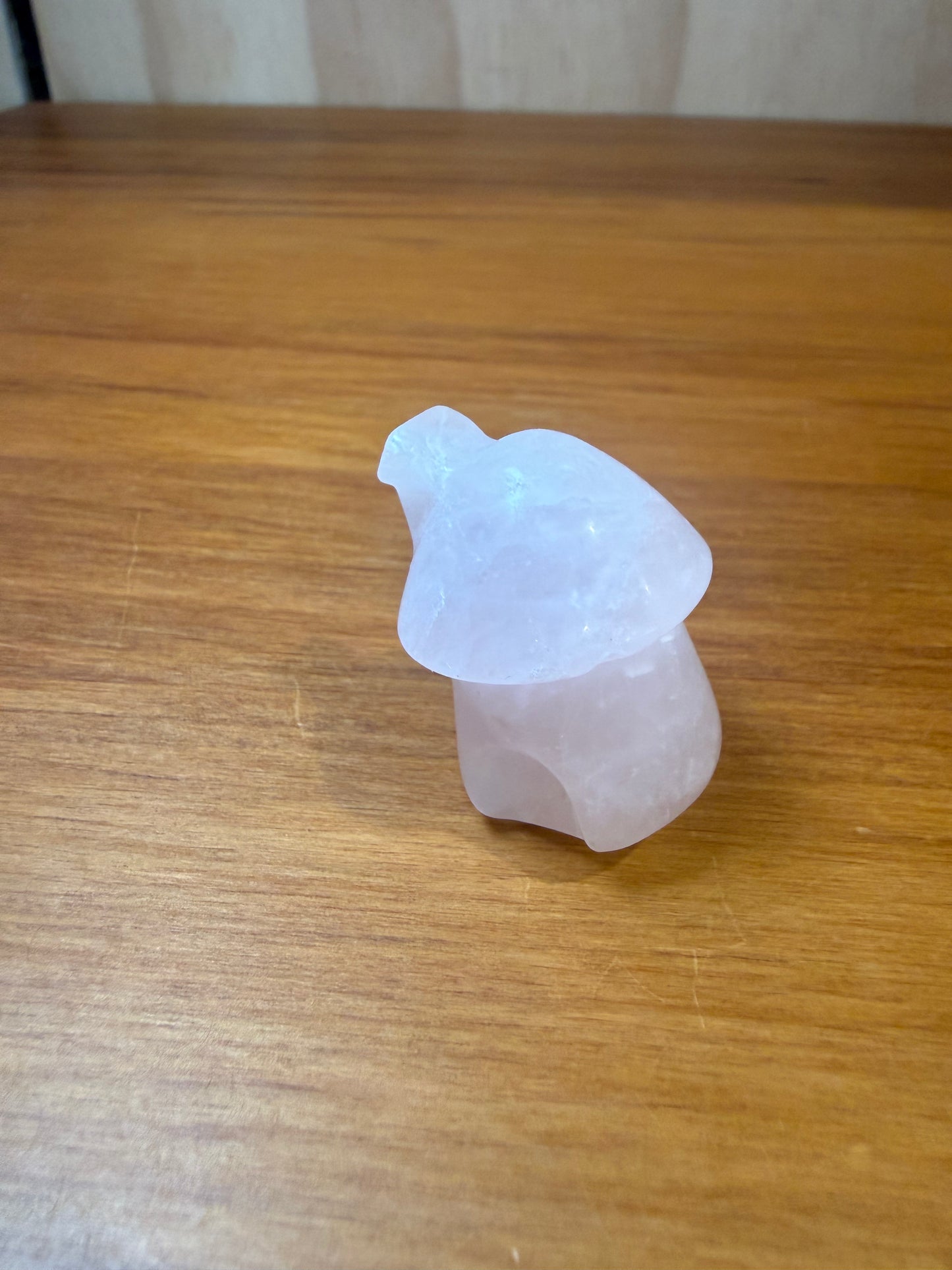 MUSHROOM CRYSTAL FAIRY HOUSES