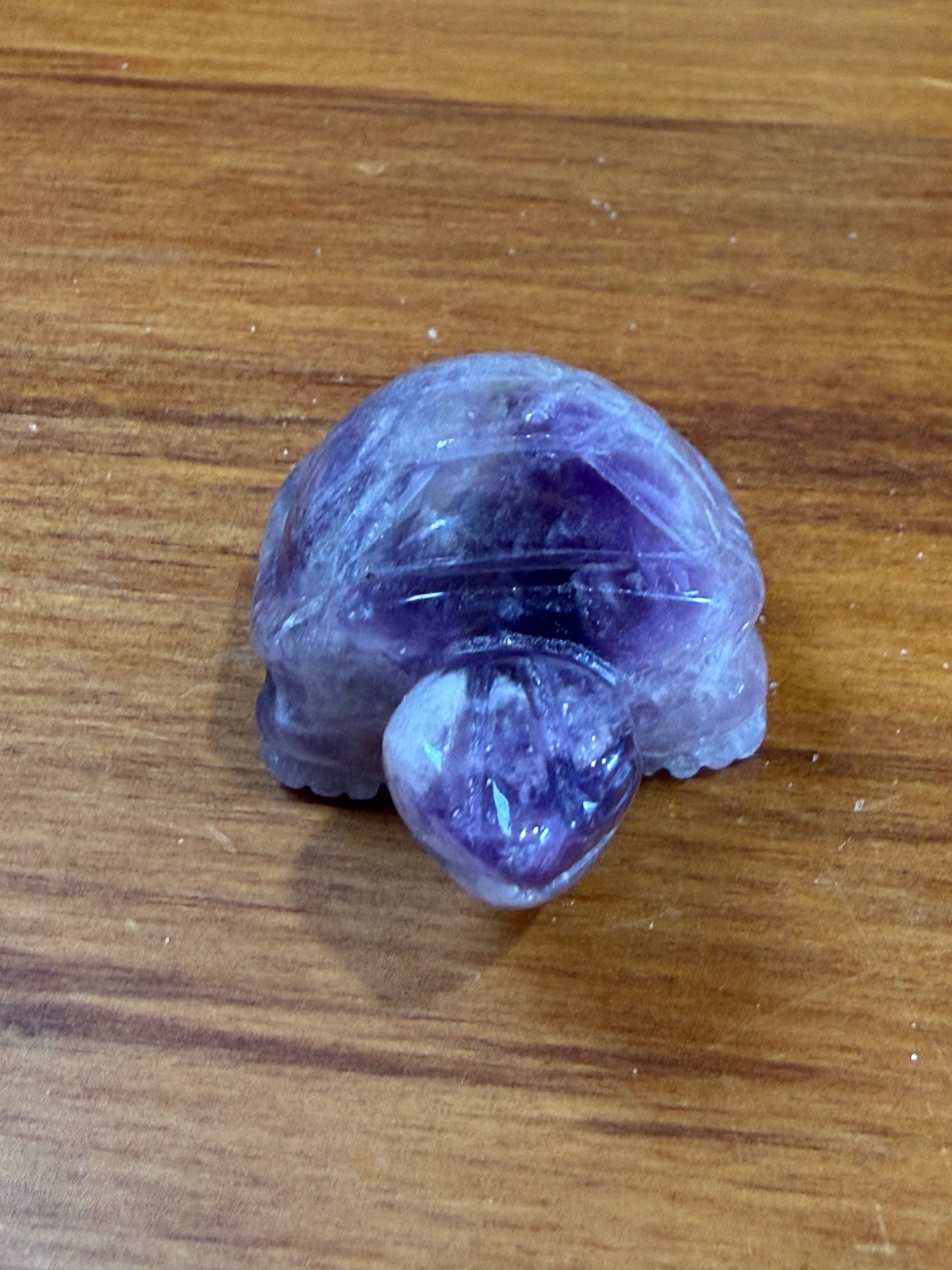 AMETHYST TURTLE