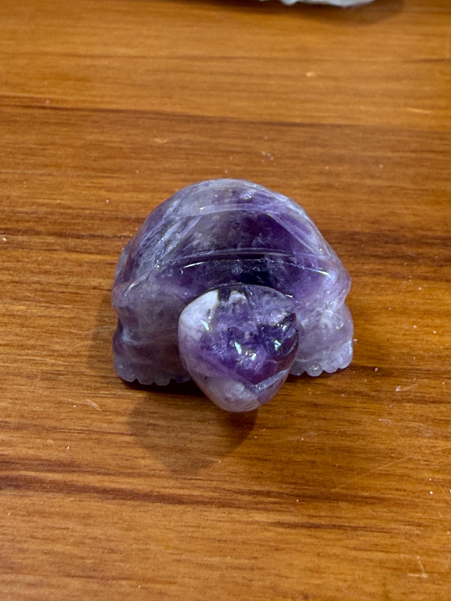 AMETHYST TURTLE