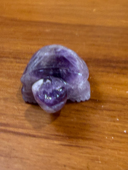 AMETHYST TURTLE