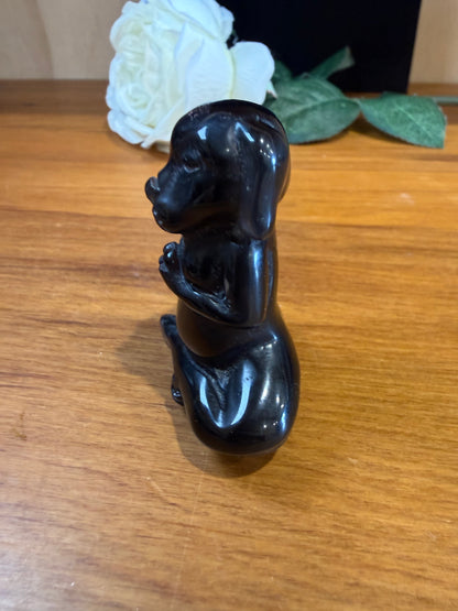 ICE OBSIDIAN MEDITATING DOG