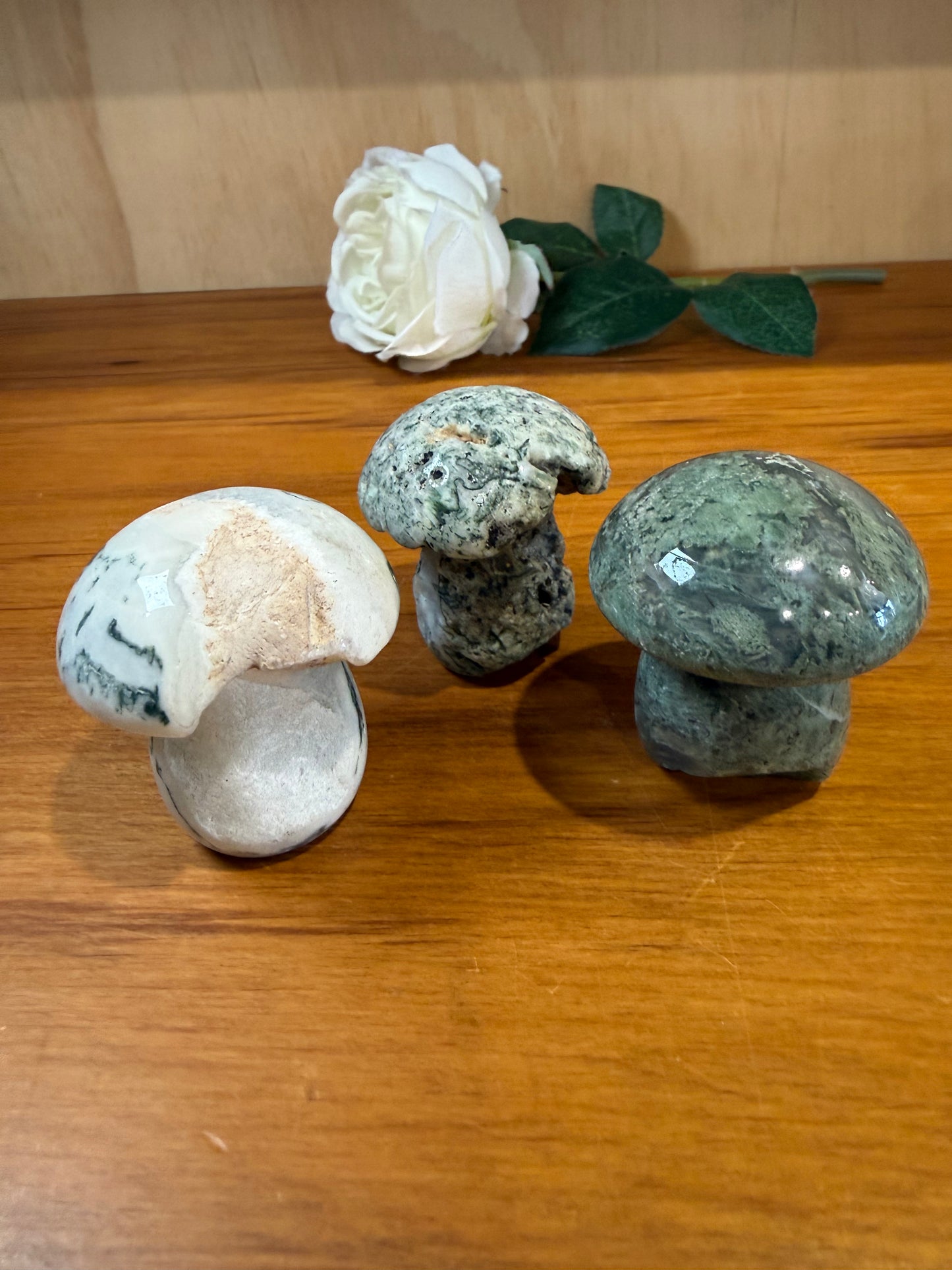 ROUGH RAW MOSS AGATE MUSHROOMS (EXTRA LARGE)