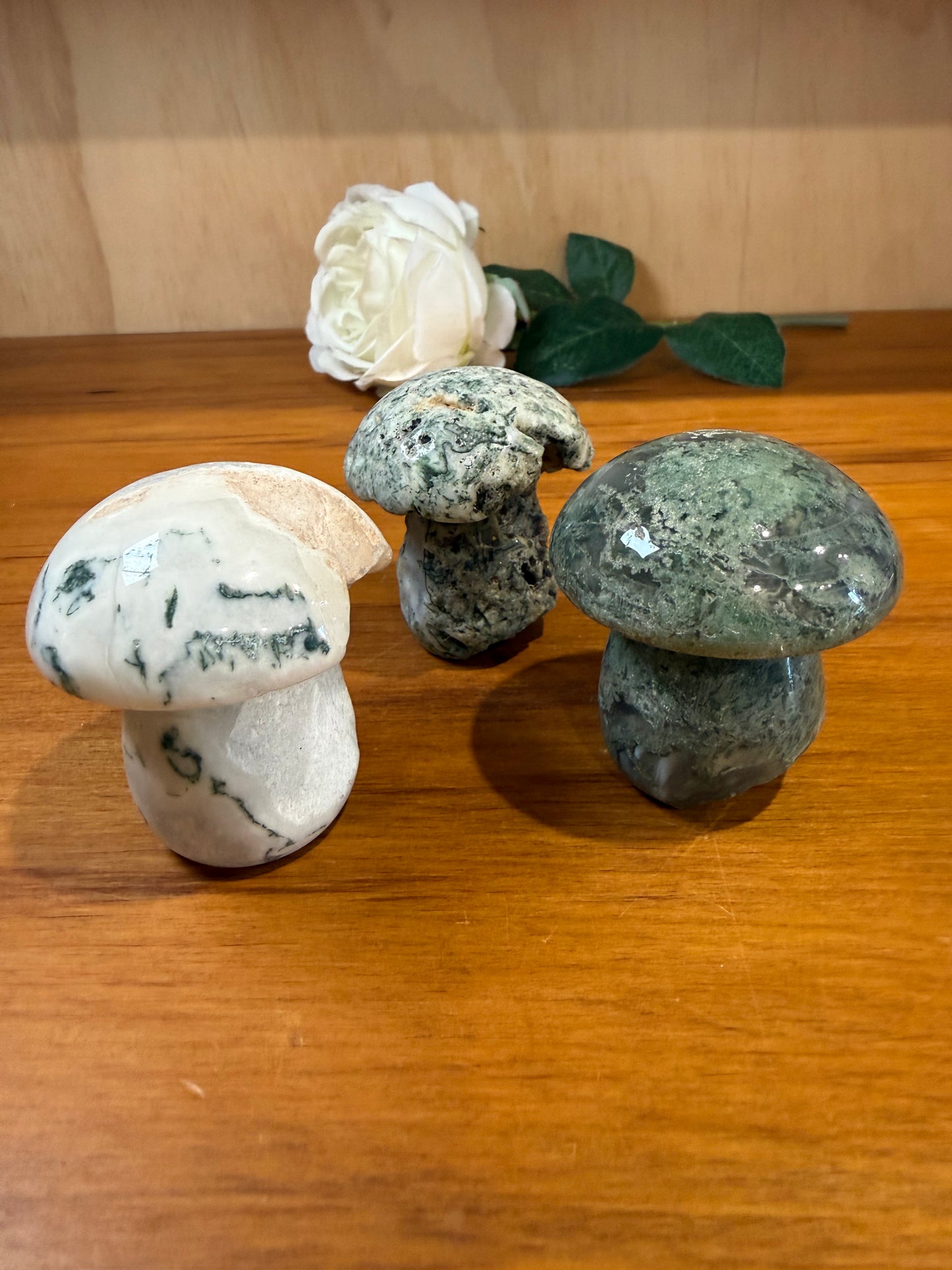 ROUGH RAW MOSS AGATE MUSHROOMS (EXTRA LARGE)