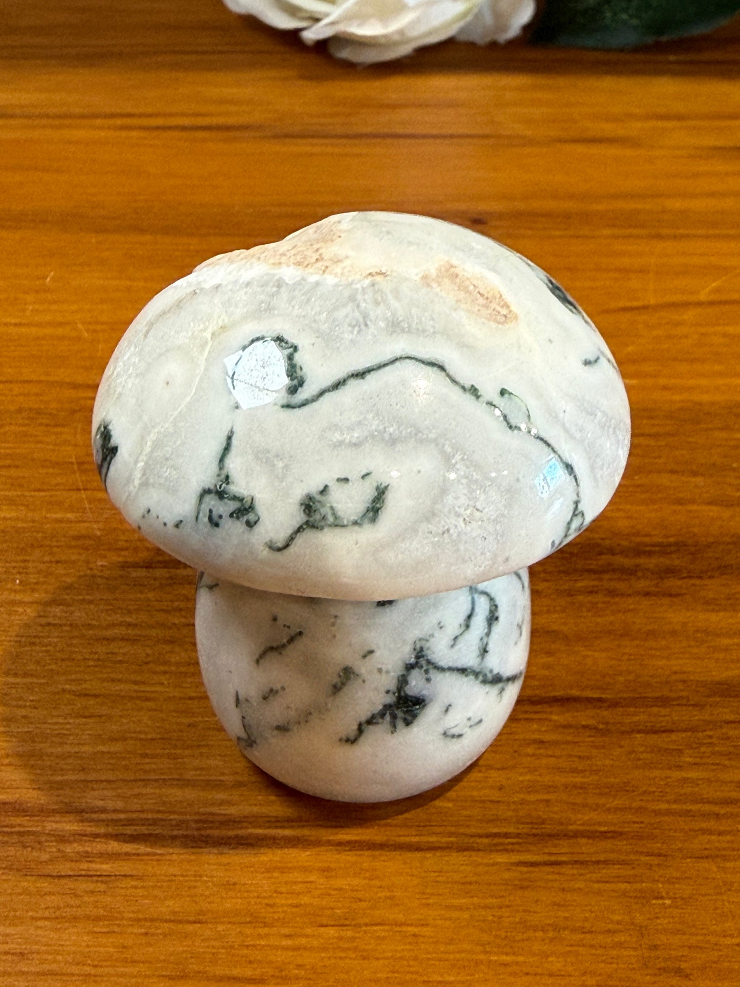 ROUGH RAW MOSS AGATE MUSHROOMS (EXTRA LARGE)