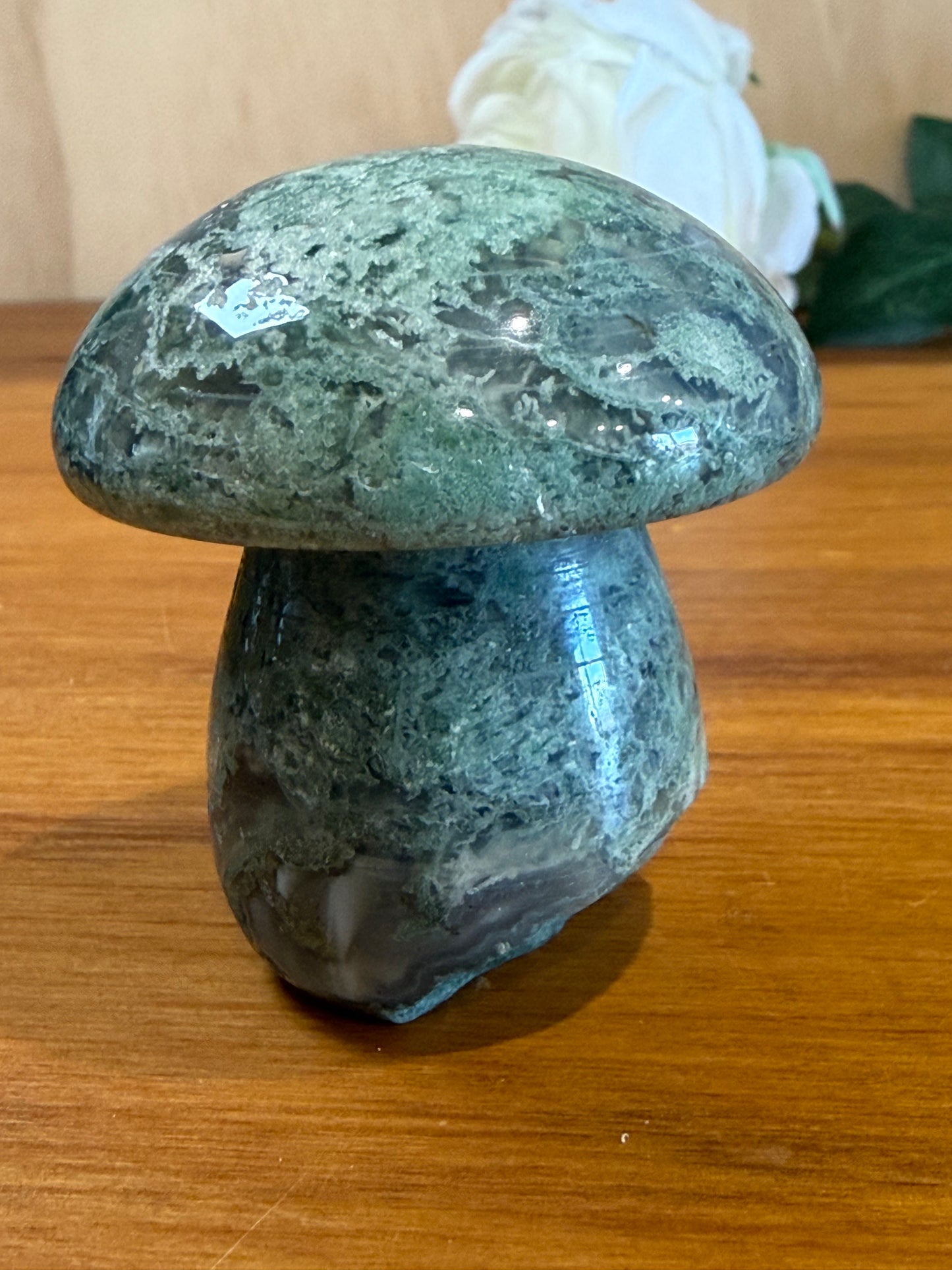 ROUGH RAW MOSS AGATE MUSHROOMS (EXTRA LARGE)