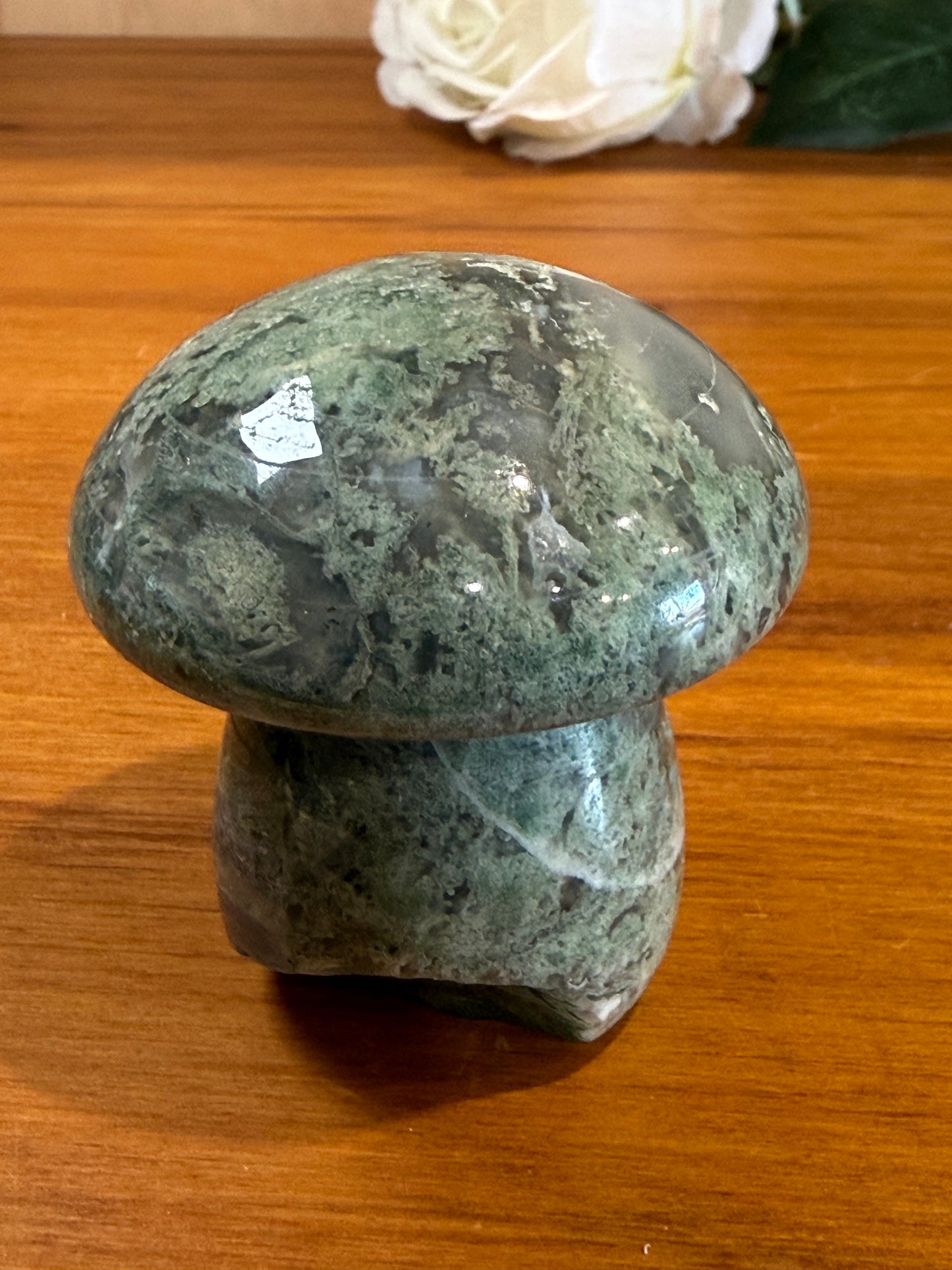 ROUGH RAW MOSS AGATE MUSHROOMS (EXTRA LARGE)