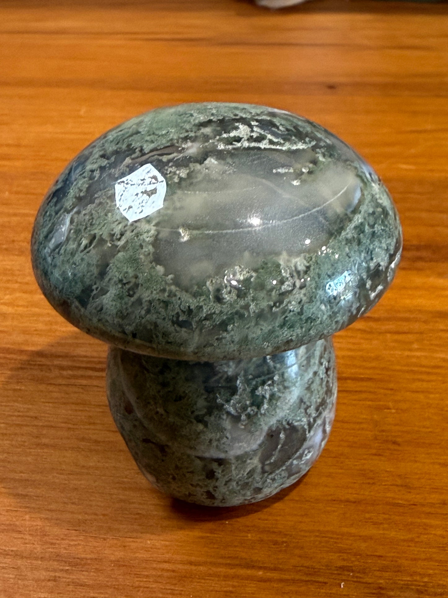 ROUGH RAW MOSS AGATE MUSHROOMS (EXTRA LARGE)