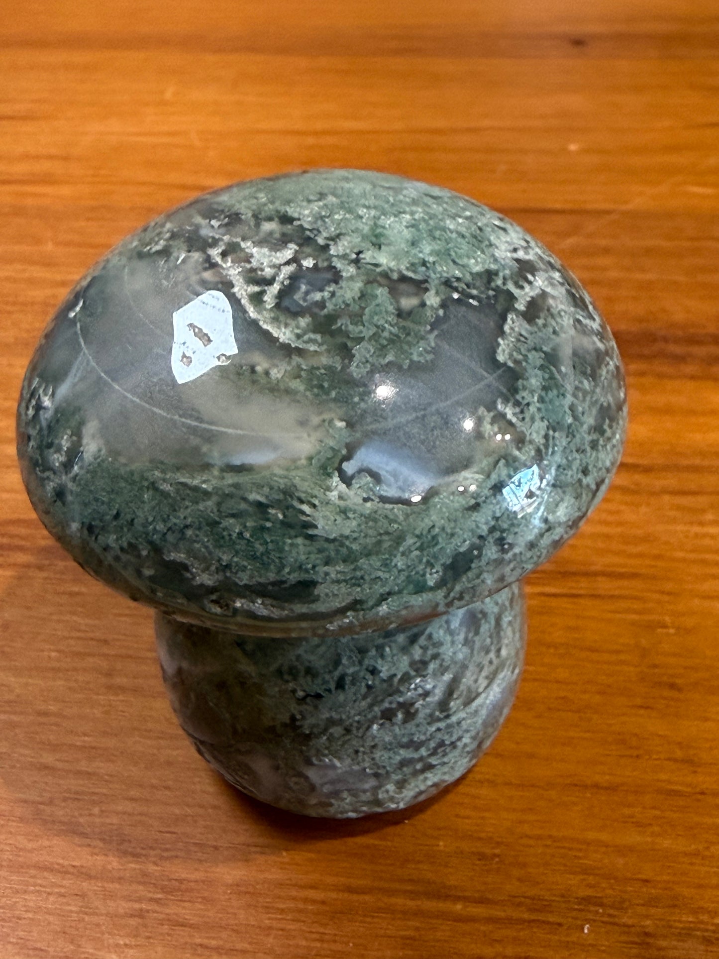 ROUGH RAW MOSS AGATE MUSHROOMS (EXTRA LARGE)