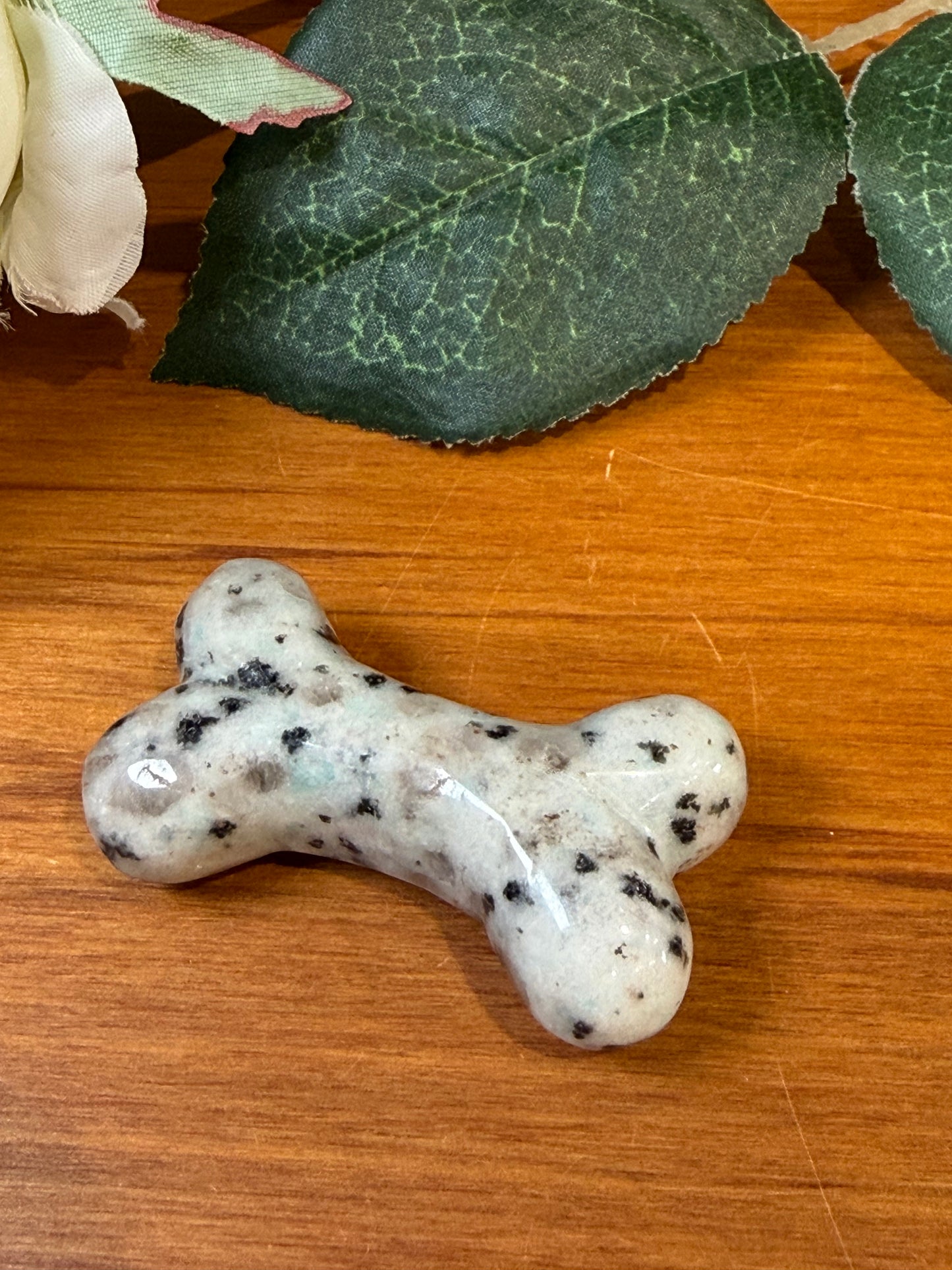 KIWI JASPER DOG BONE (ALSO KNOWN AS KIWI STONE)