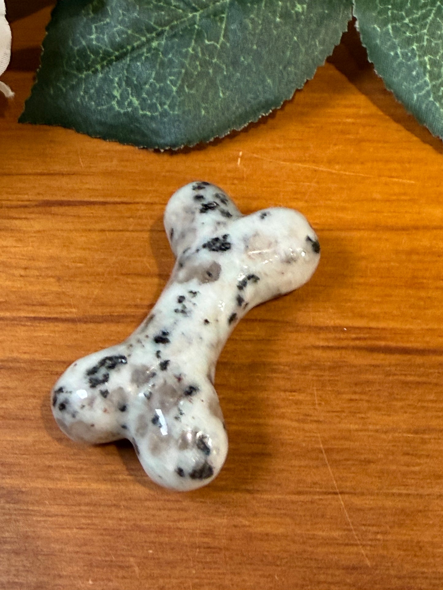 KIWI JASPER DOG BONE (ALSO KNOWN AS KIWI STONE)