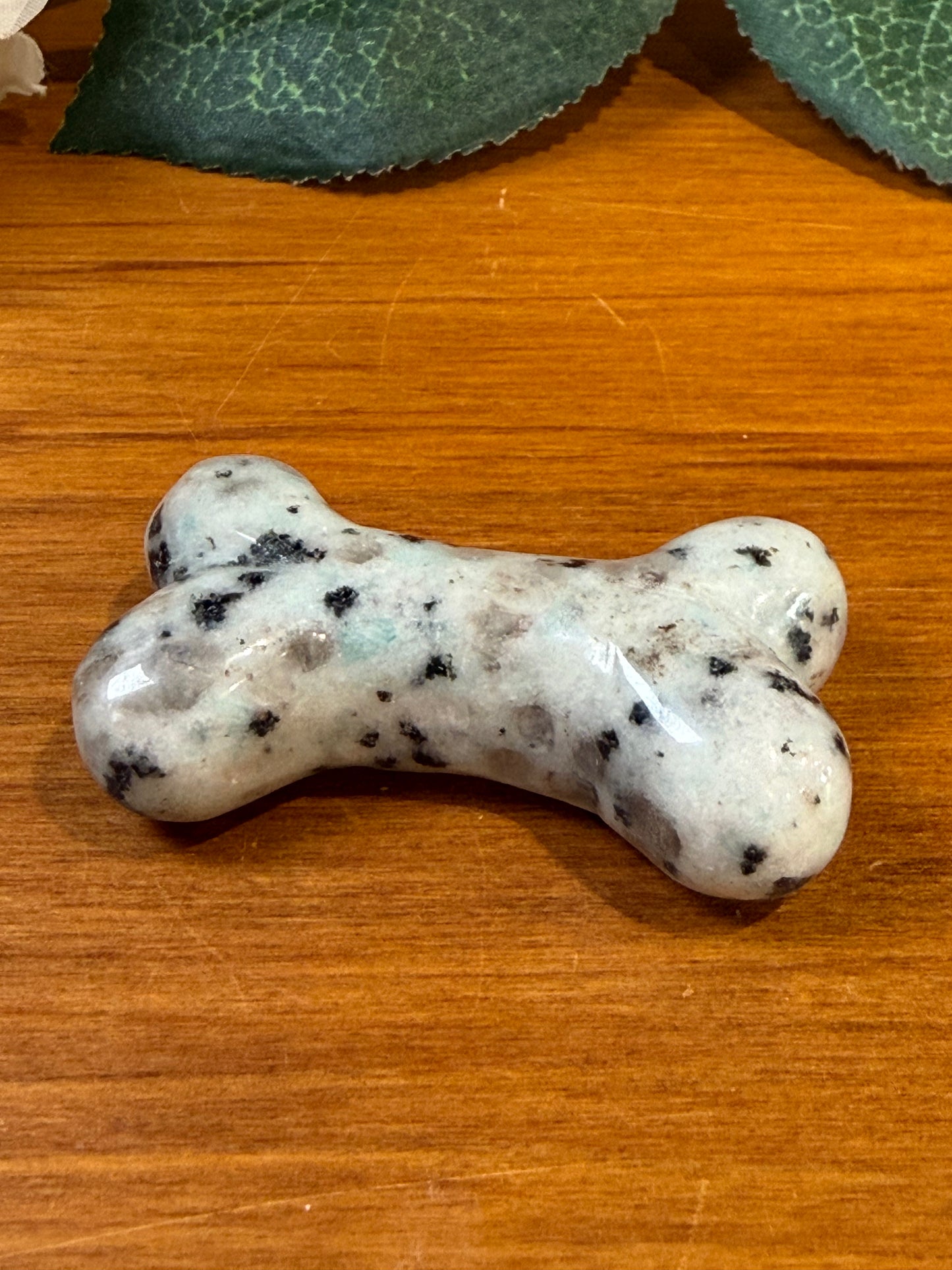 KIWI JASPER DOG BONE (ALSO KNOWN AS KIWI STONE)