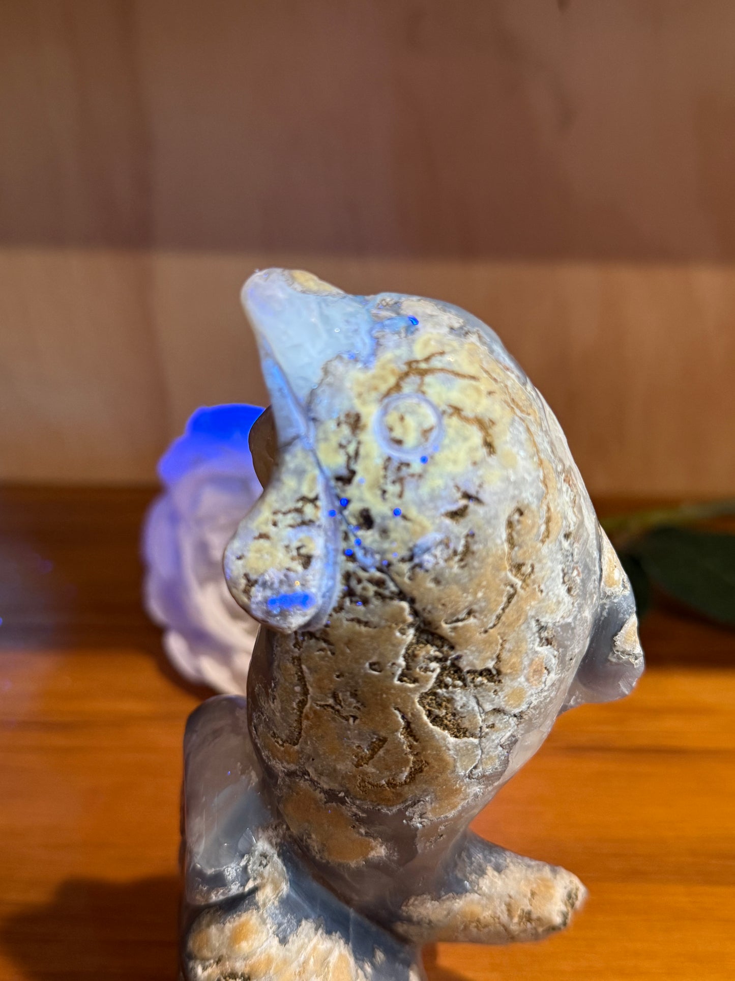 AMAZING UV REACTIVE DOLPHIN WITH AMETHYST