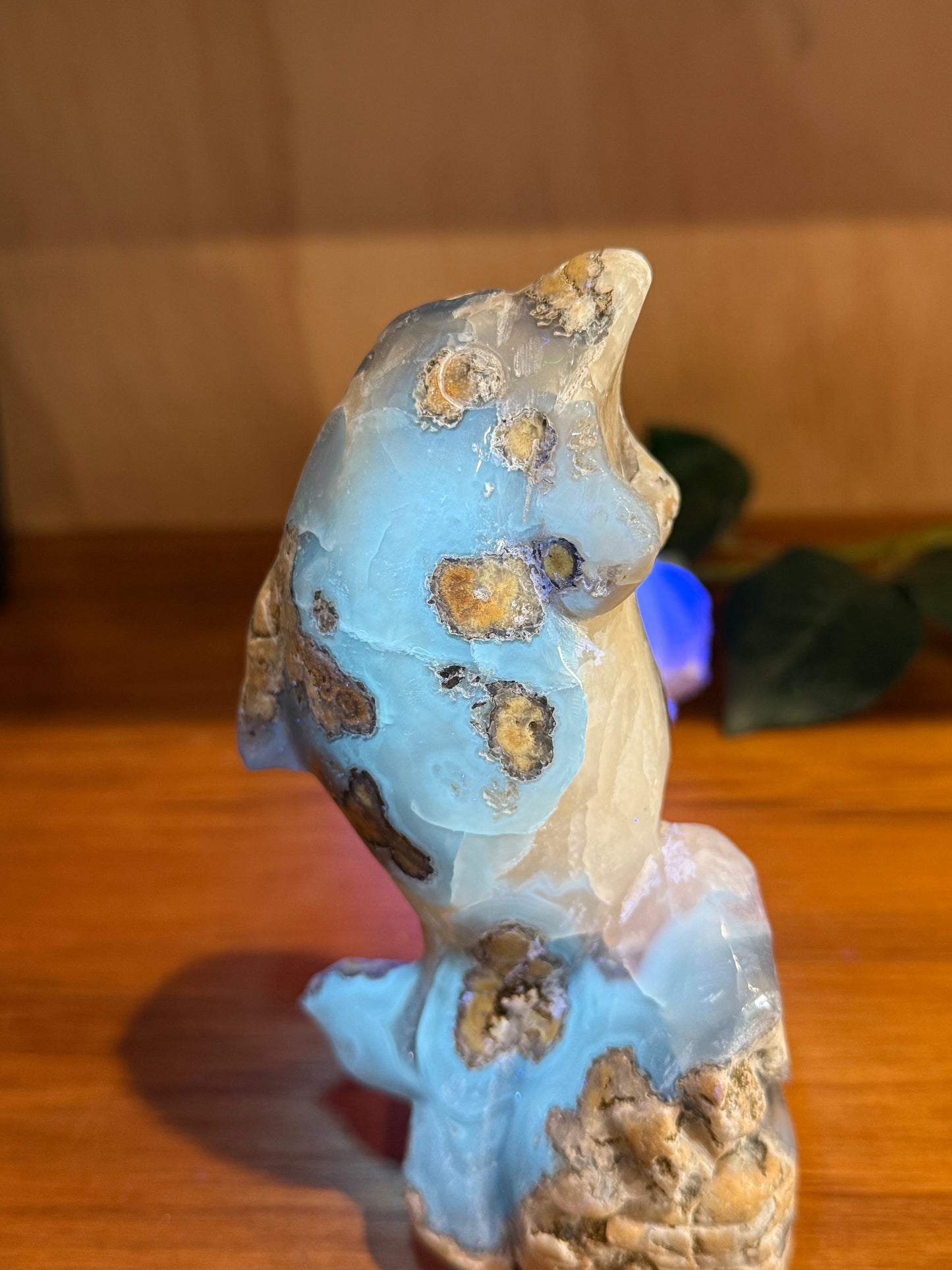 AMAZING UV REACTIVE DOLPHIN WITH AMETHYST