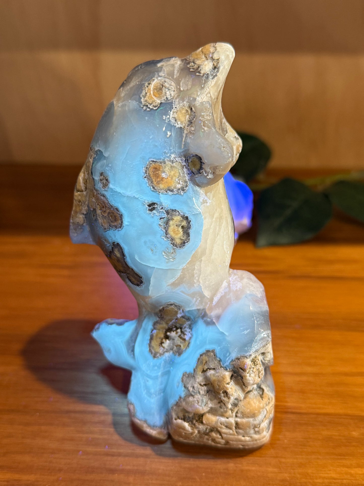 AMAZING UV REACTIVE DOLPHIN WITH AMETHYST