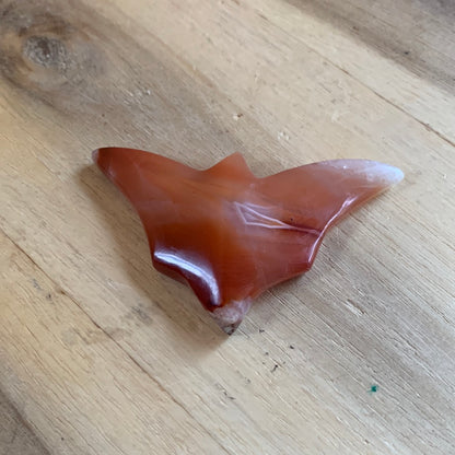 CARNELIAN BAT