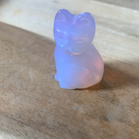 CUTE CATS