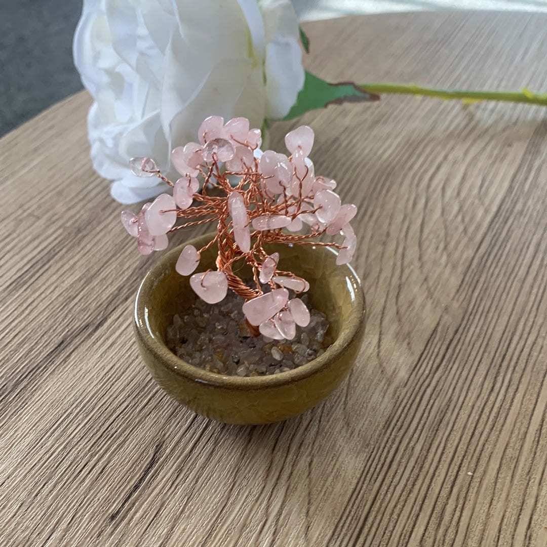 CRYSTAL TREES IN POTS (SMALL)