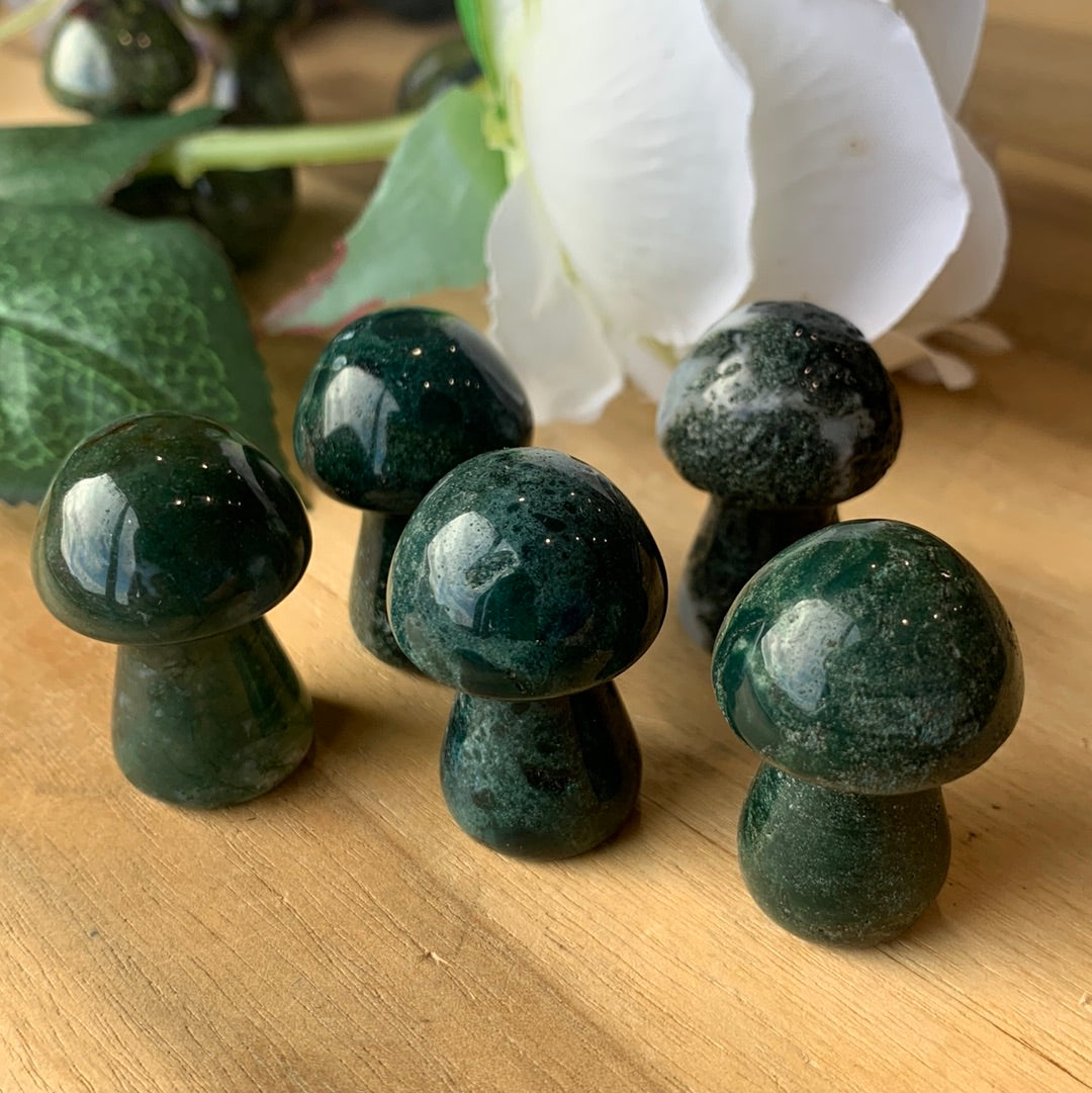 MUSHROOMS (SMALL)