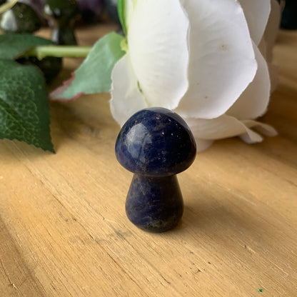MUSHROOMS (SMALL)