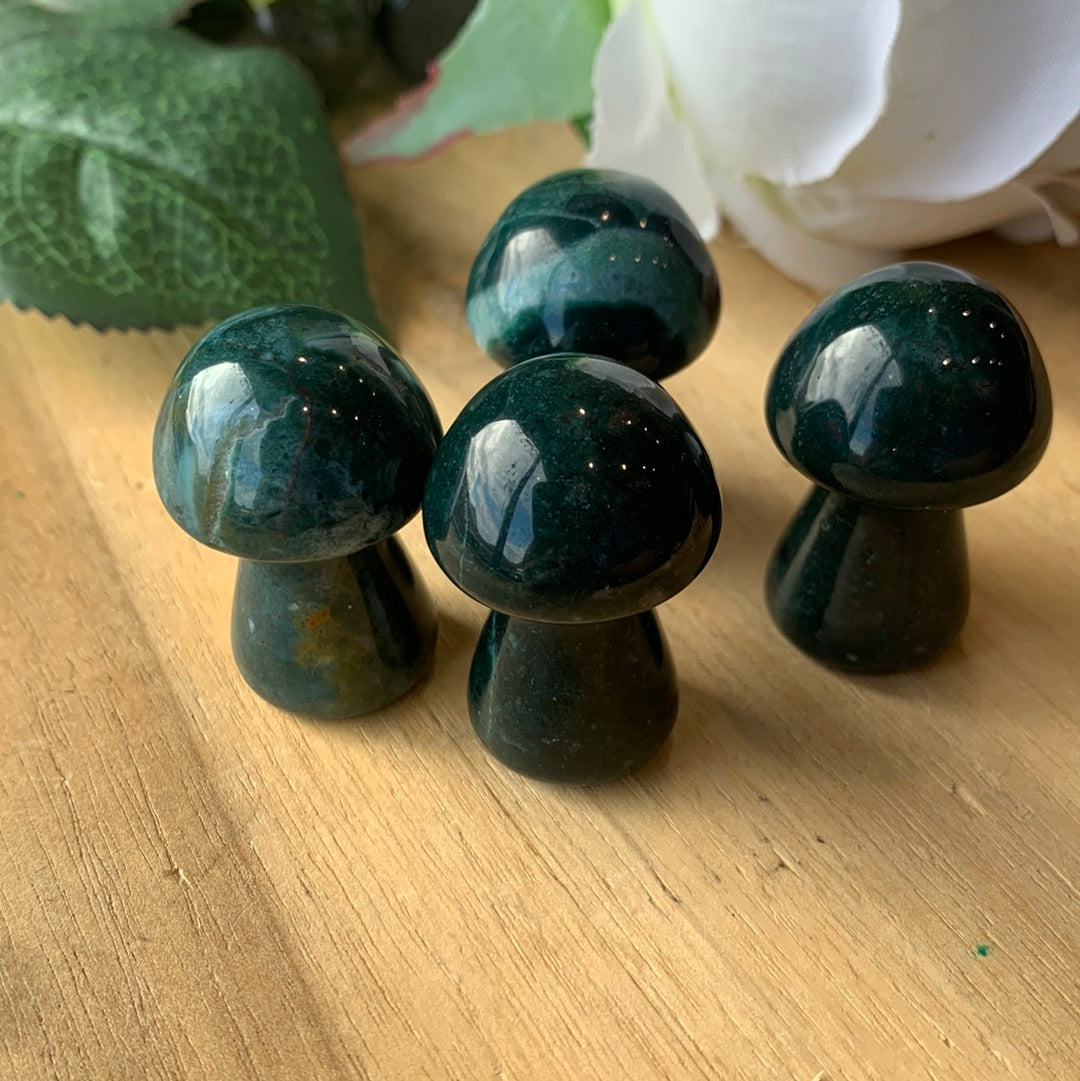 MUSHROOMS (SMALL)