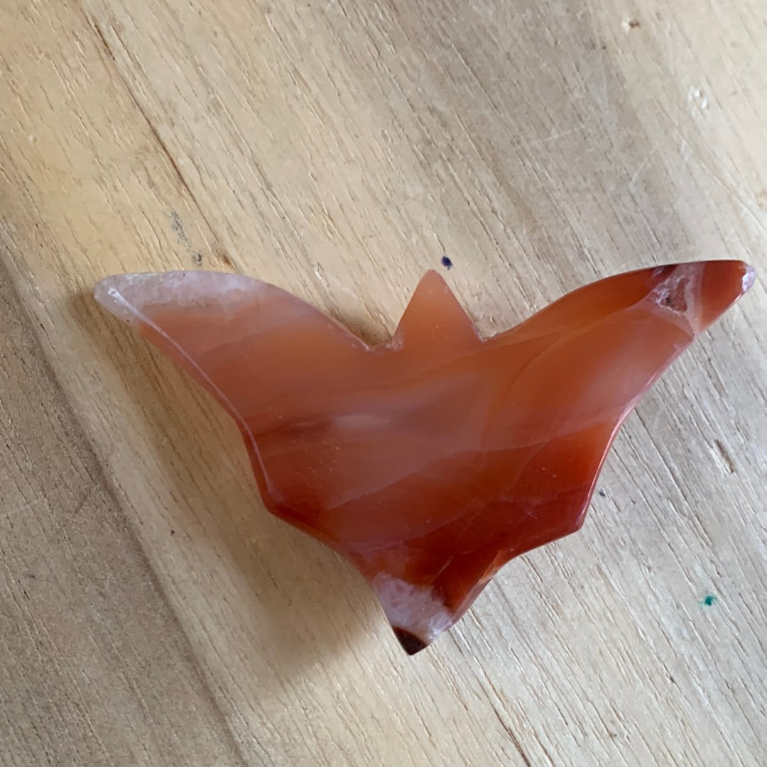 CARNELIAN BAT