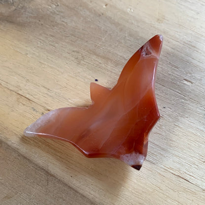 CARNELIAN BAT