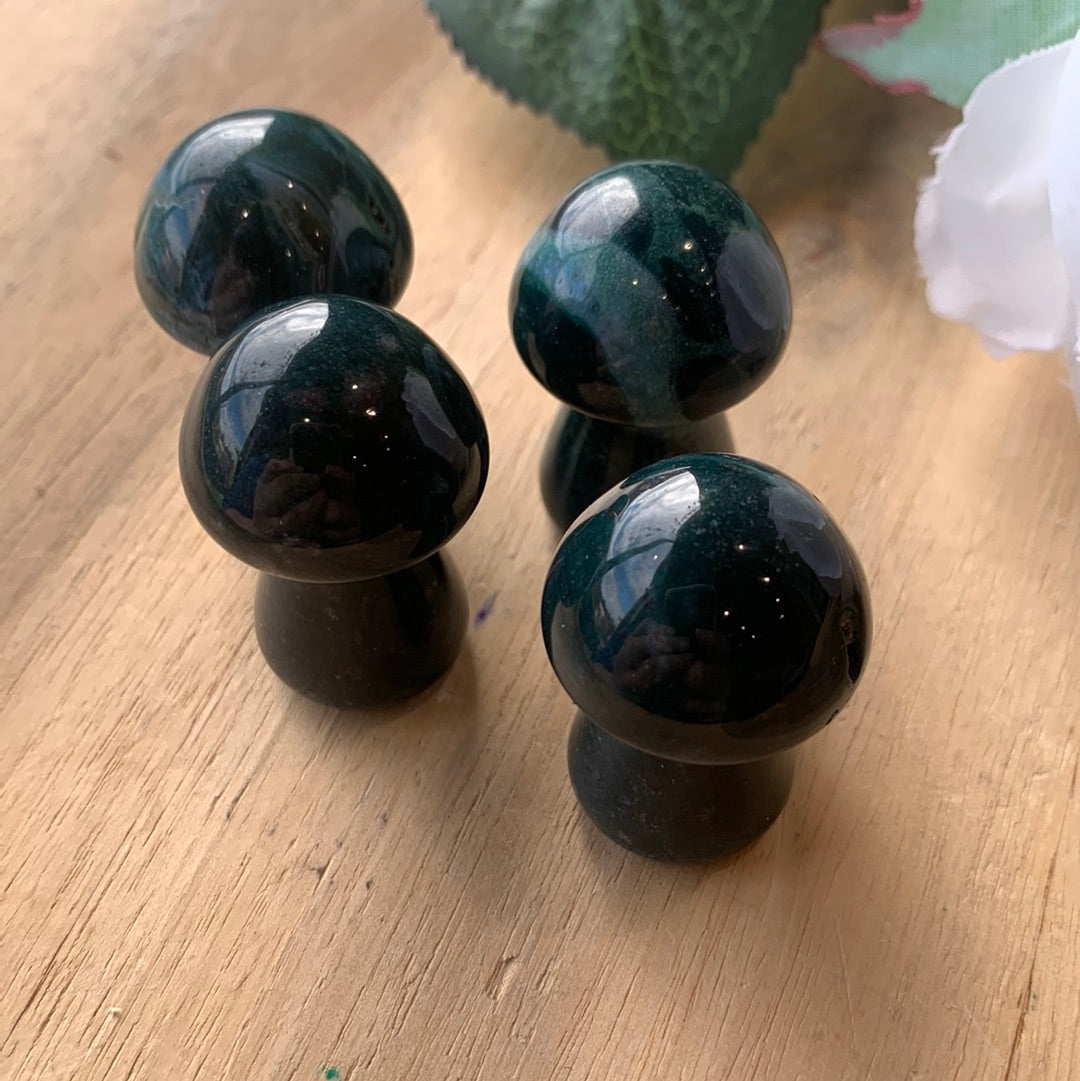 MUSHROOMS (SMALL)