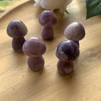 MUSHROOMS (SMALL)