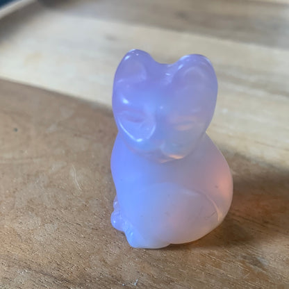 CUTE CATS