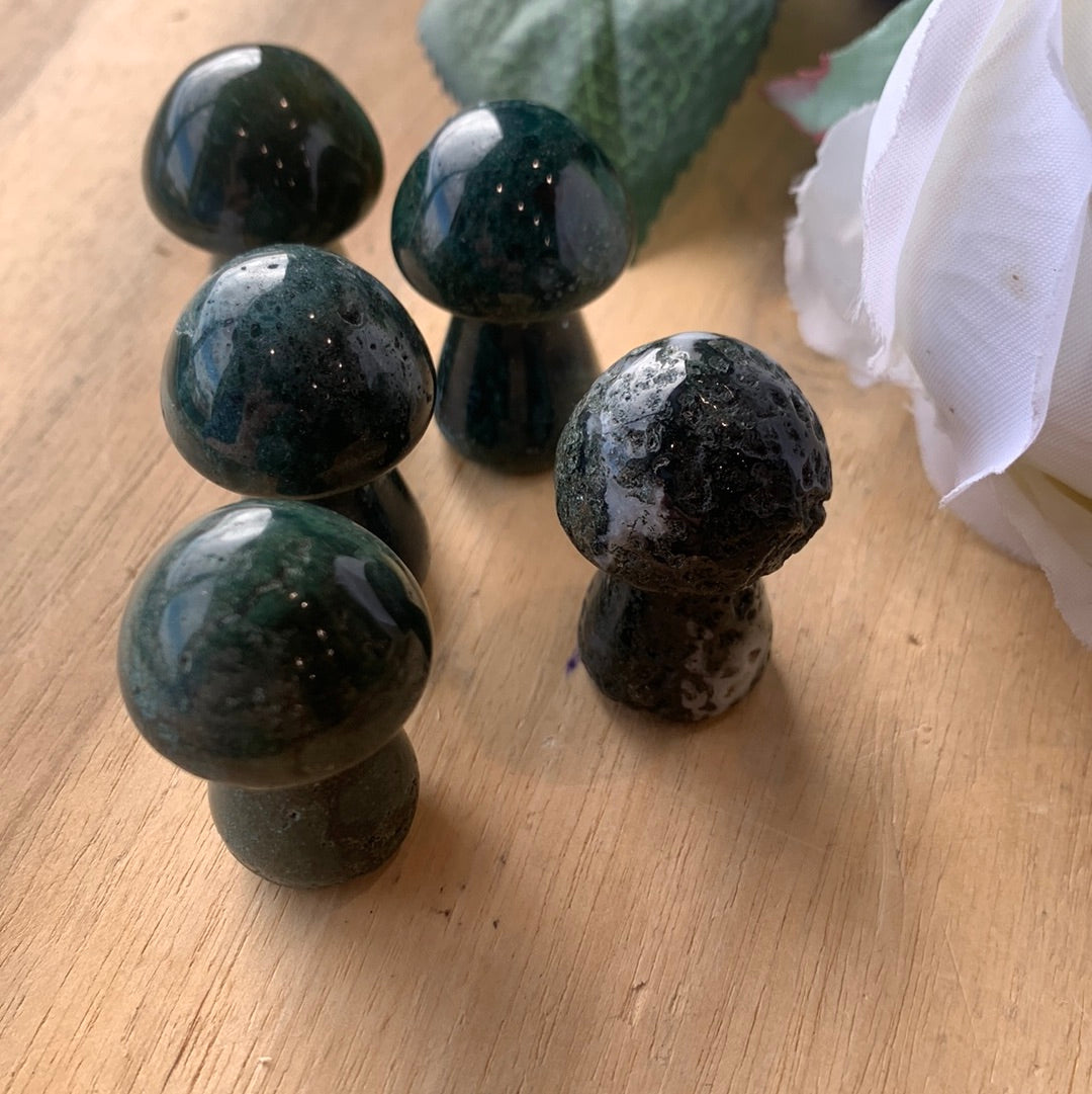 MUSHROOMS (SMALL)