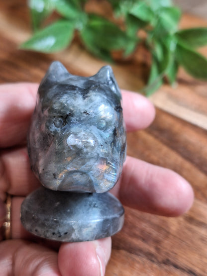 CRYSTAL DOG HEADS