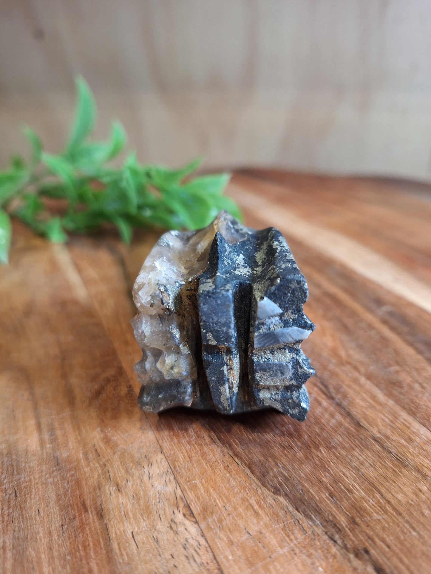 PYRITE DRAGONHEAD
