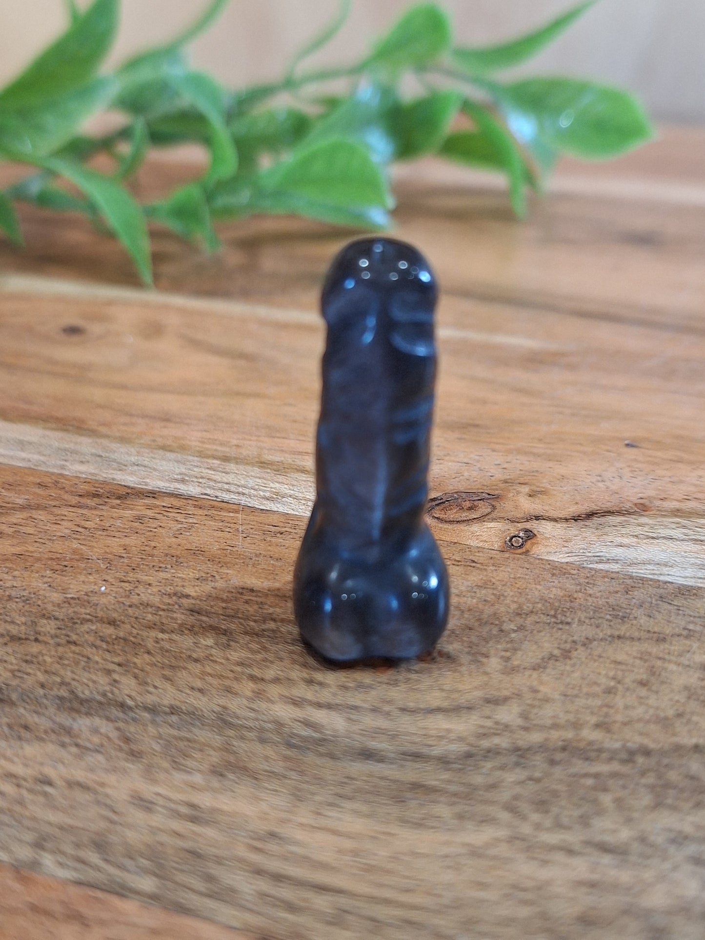 DING DINGS (ADULTS ONLY- MALE PRIVATE PARTS AHEAD)