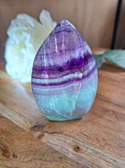 FLUORITE FREEFORMS