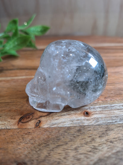 CLEAR QUARTZ SKULL WITH A SMALL GARDEN