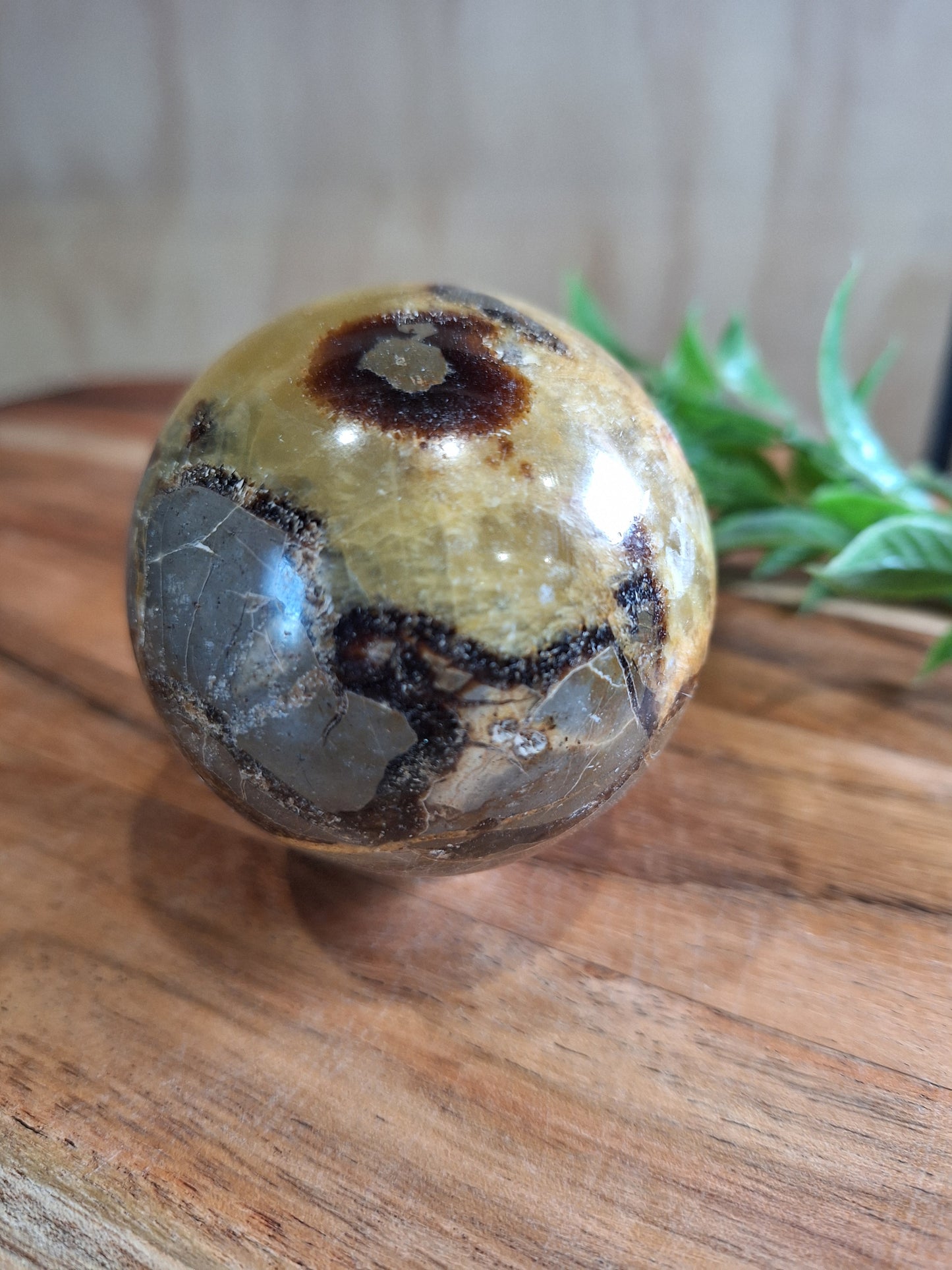 SEPTARIAN SPHERES