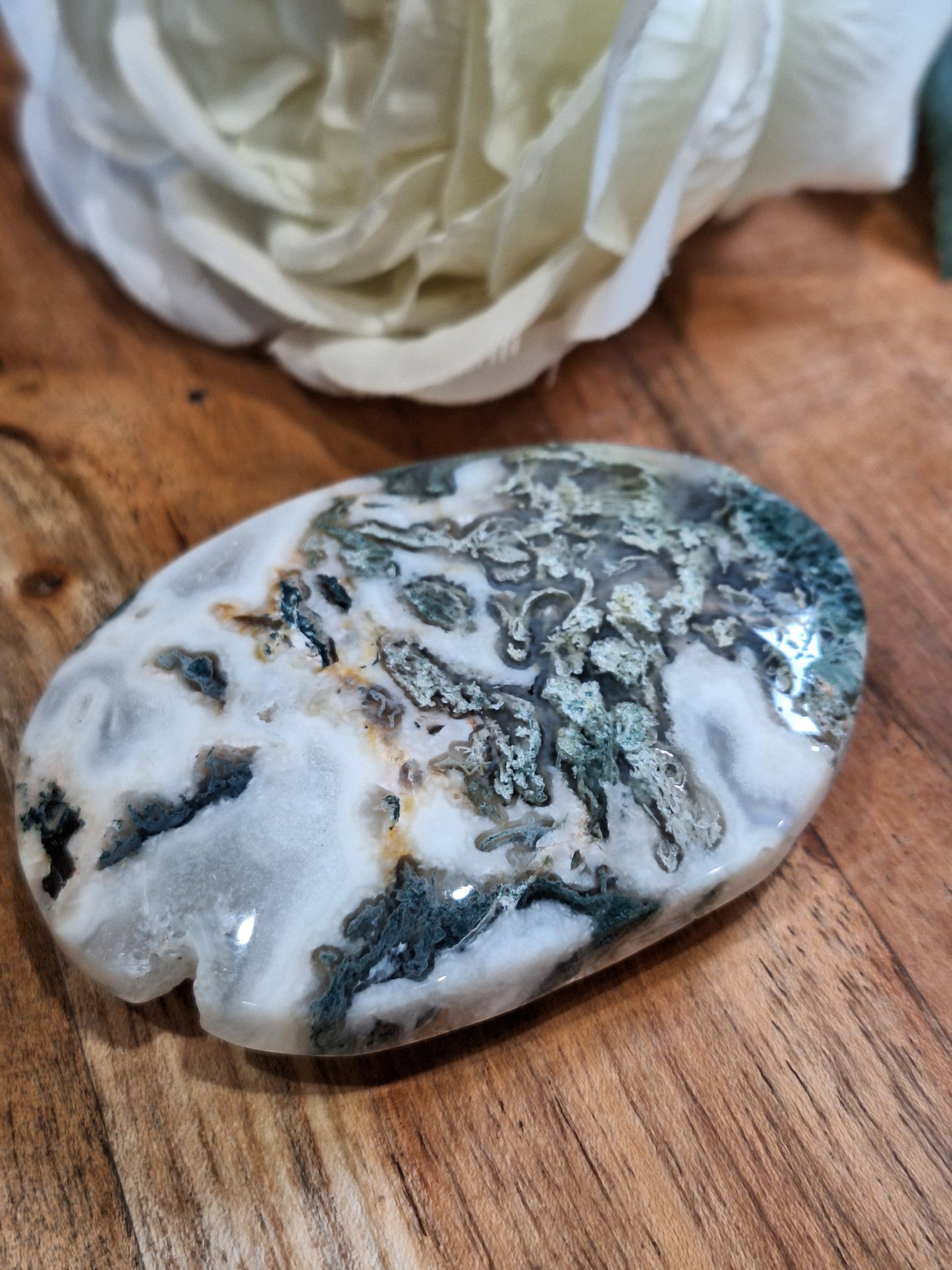 PALM STONES (MEDIUM & LARGE)