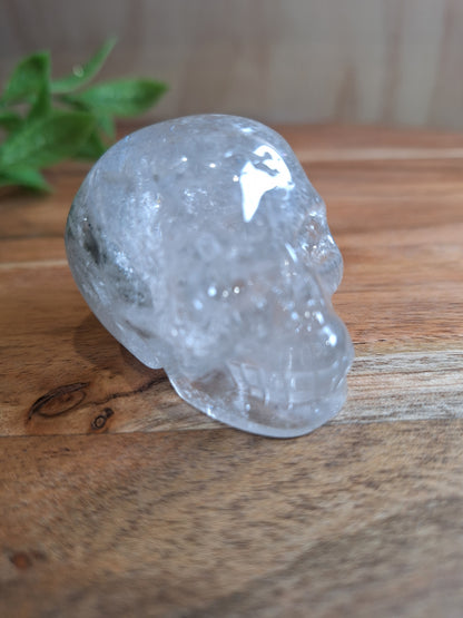 CLEAR QUARTZ SKULL WITH A SMALL GARDEN