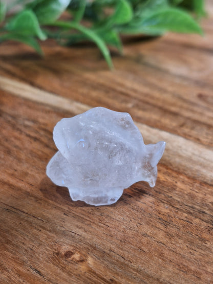 CRYSTAL PIRANHAS
