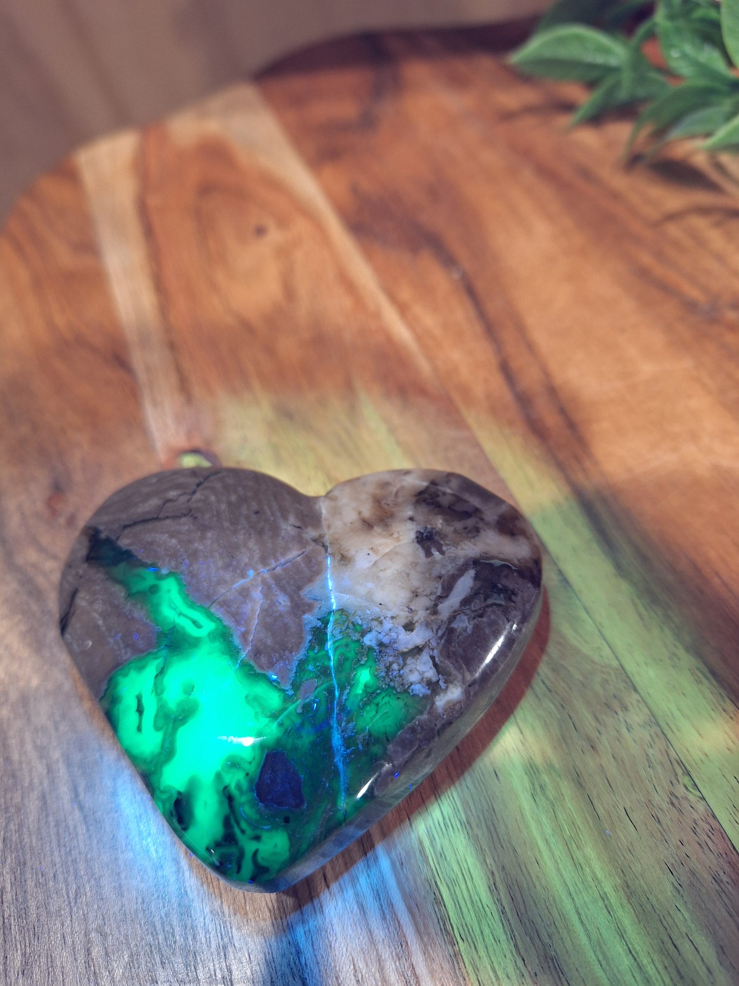 VOLCANO AGATE HEARTS