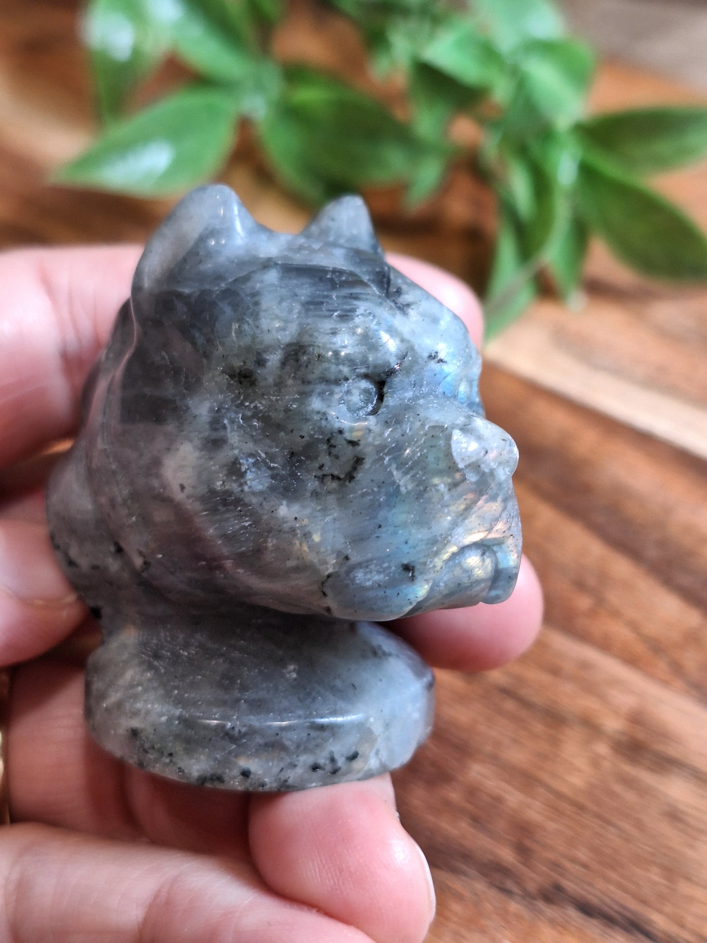 CRYSTAL DOG HEADS