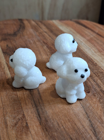 WHITE JADE POODLES